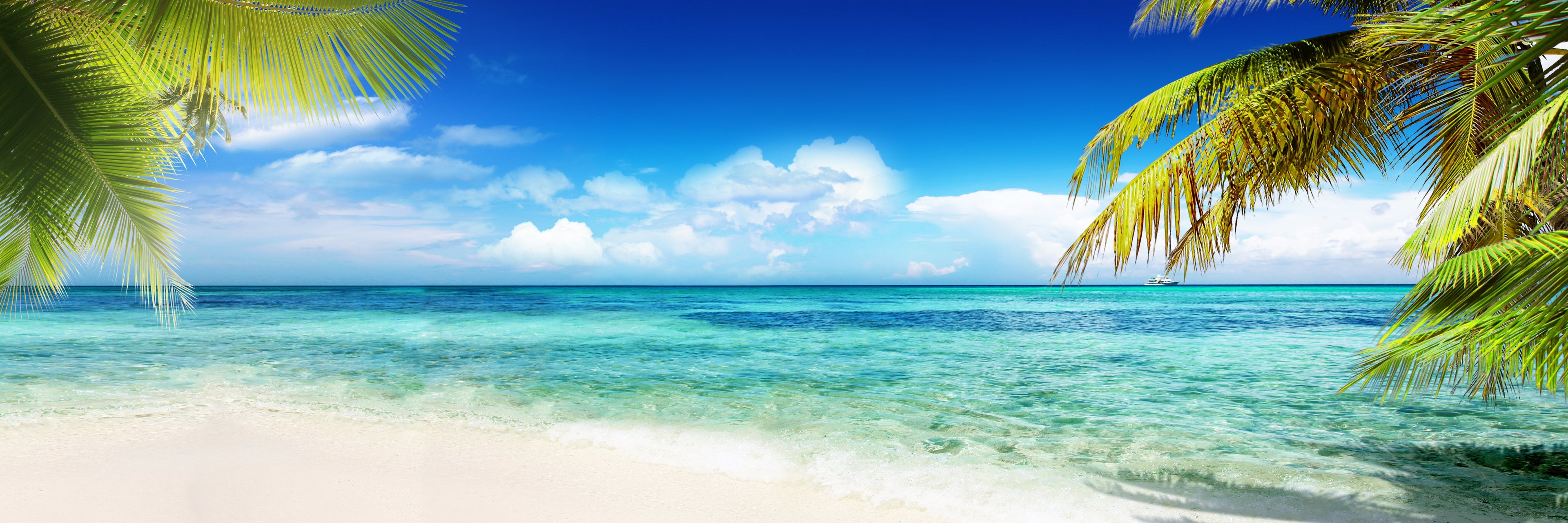 Kona Cold Brew Coffee: Why do people like it?