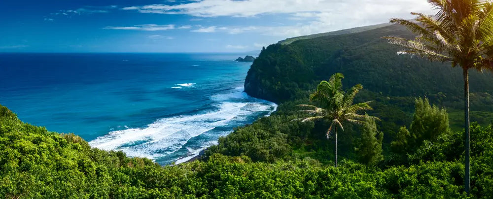 A panoramic view of the northern coast of the Big Island of Hawaii