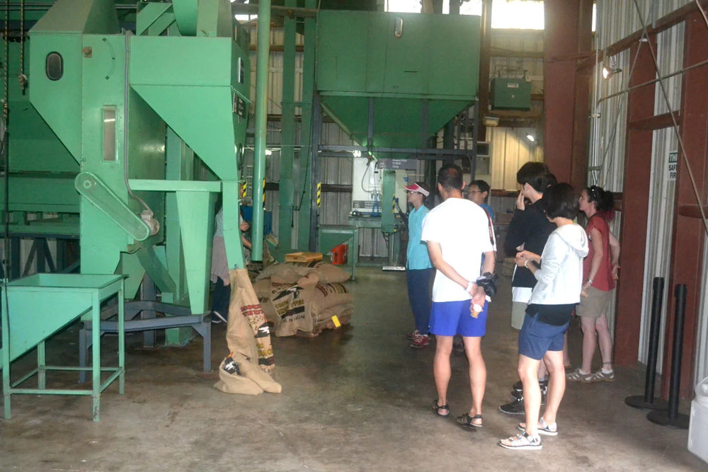 Group of people in a factory setting with green machinery