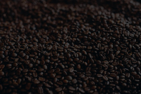 Close-up of roasted coffee beans