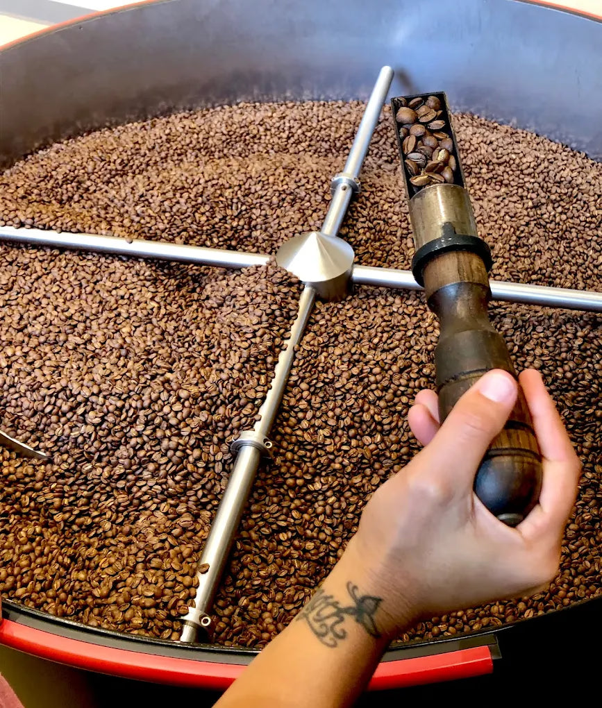 Mountain-thunder-coffee-plantation-6