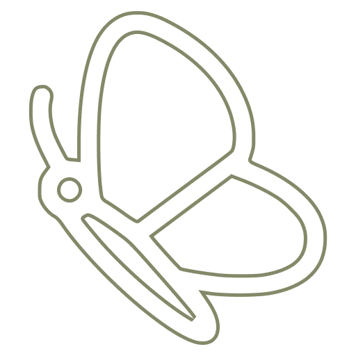 Some of the 17 species of butterflies found in Hawaii