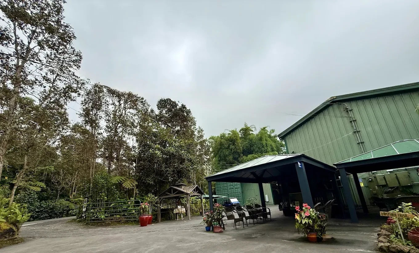 Outdoor setting with a building, trees, and people under an overcast sky.