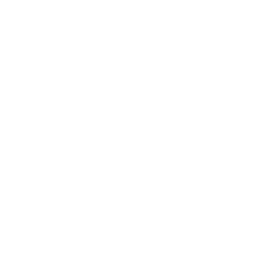 ‘io or Hawaiian Hawk native only to the Island of Hawaii (endangered)