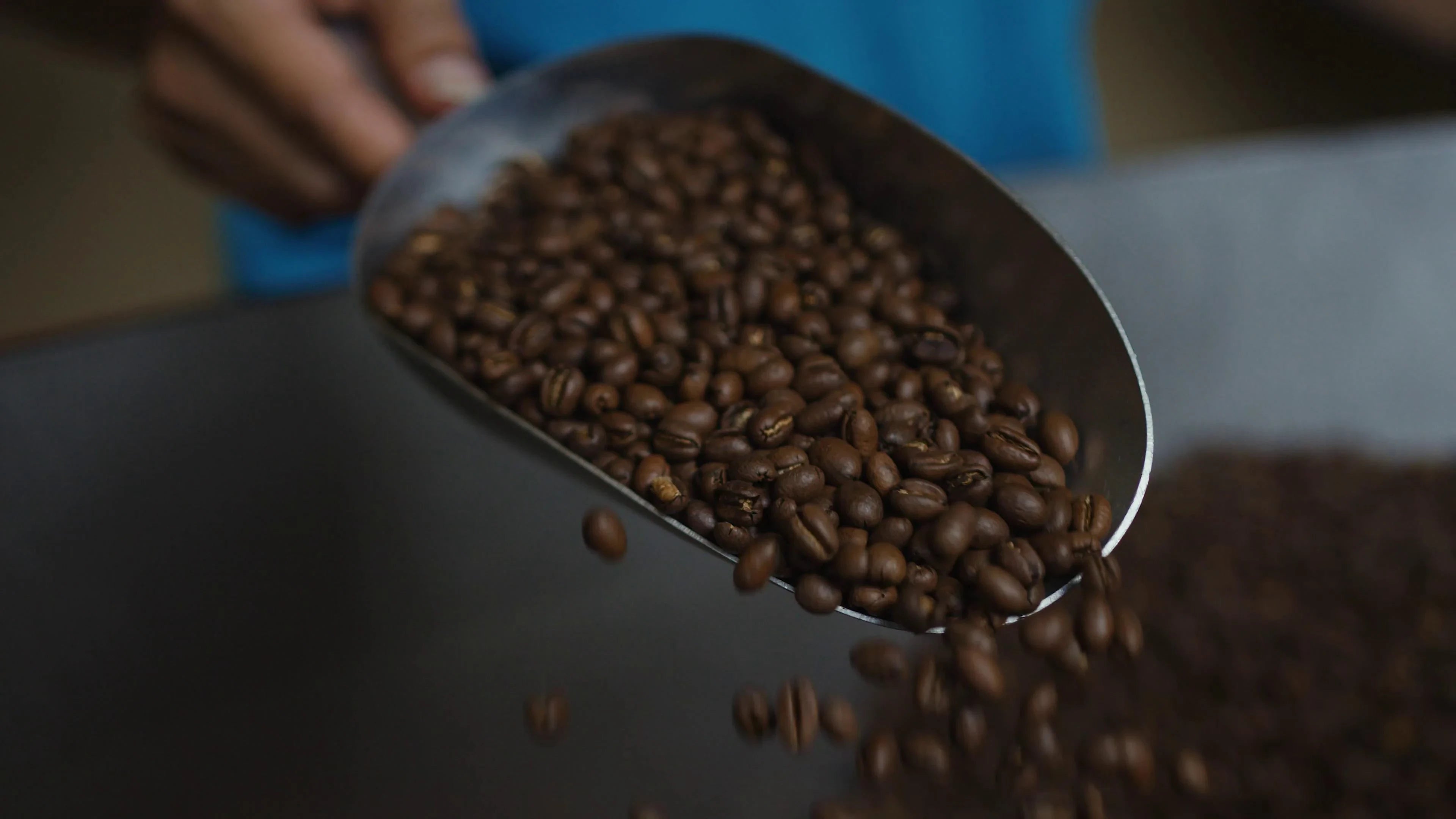 Scoop of coffee beans being poured onto a surface