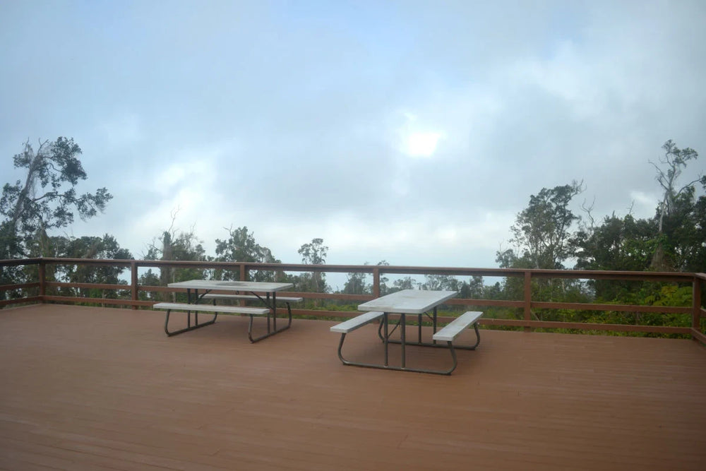 Two picnic tables on a wooden deck with a scenic view of trees and sky.