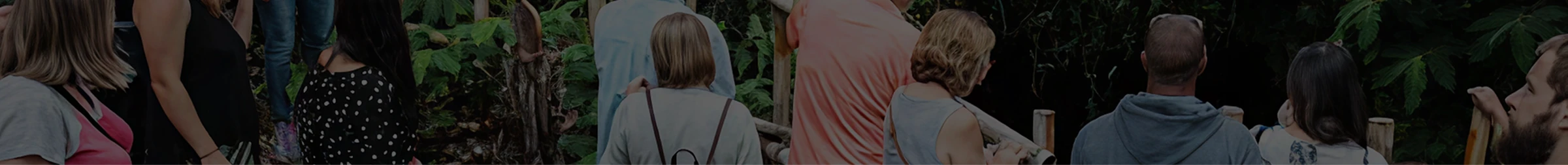 Group of people in a forest setting, possibly on a hike or nature walk.