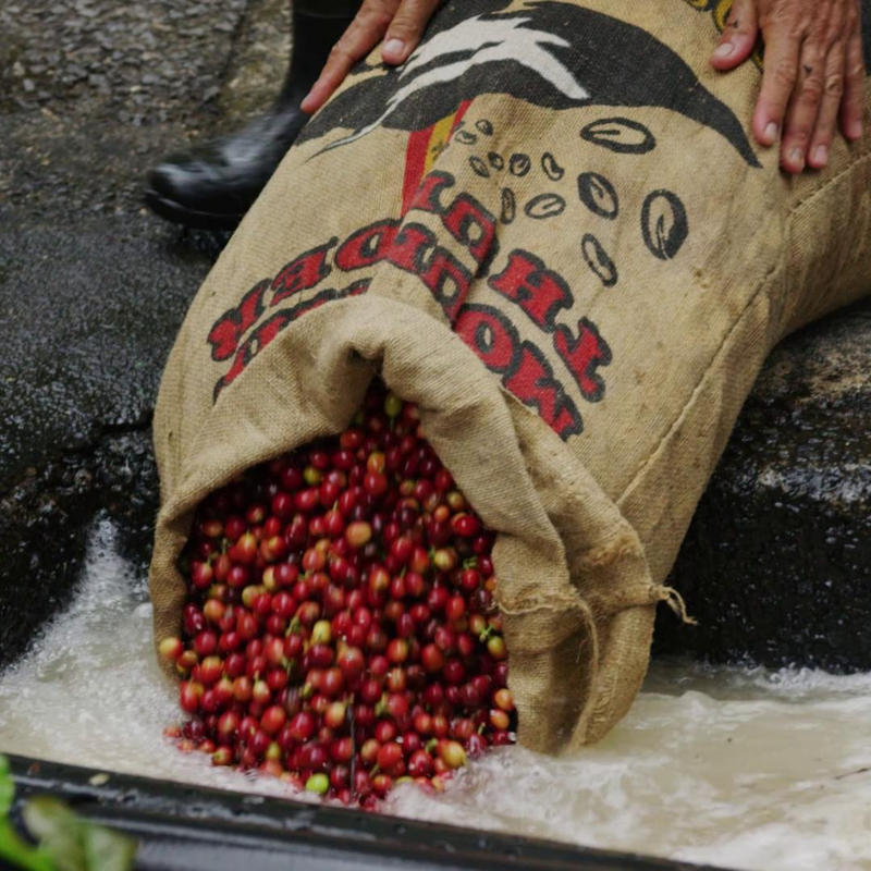 Mountain Thunder 100lb Burlap Coffee Sack – Mountain Thunder Coffee