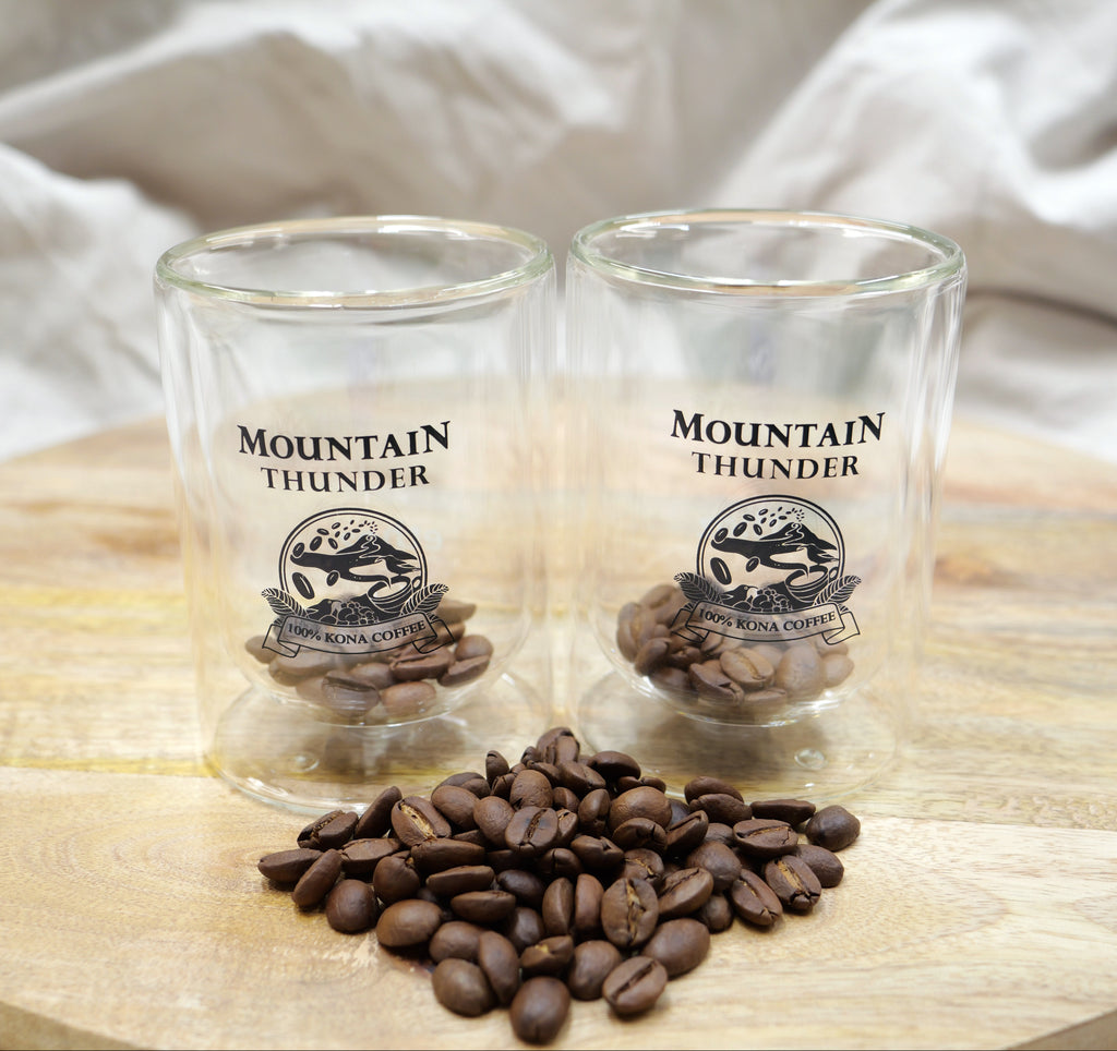 Mountain Thunder Insulated Glass Tumblers