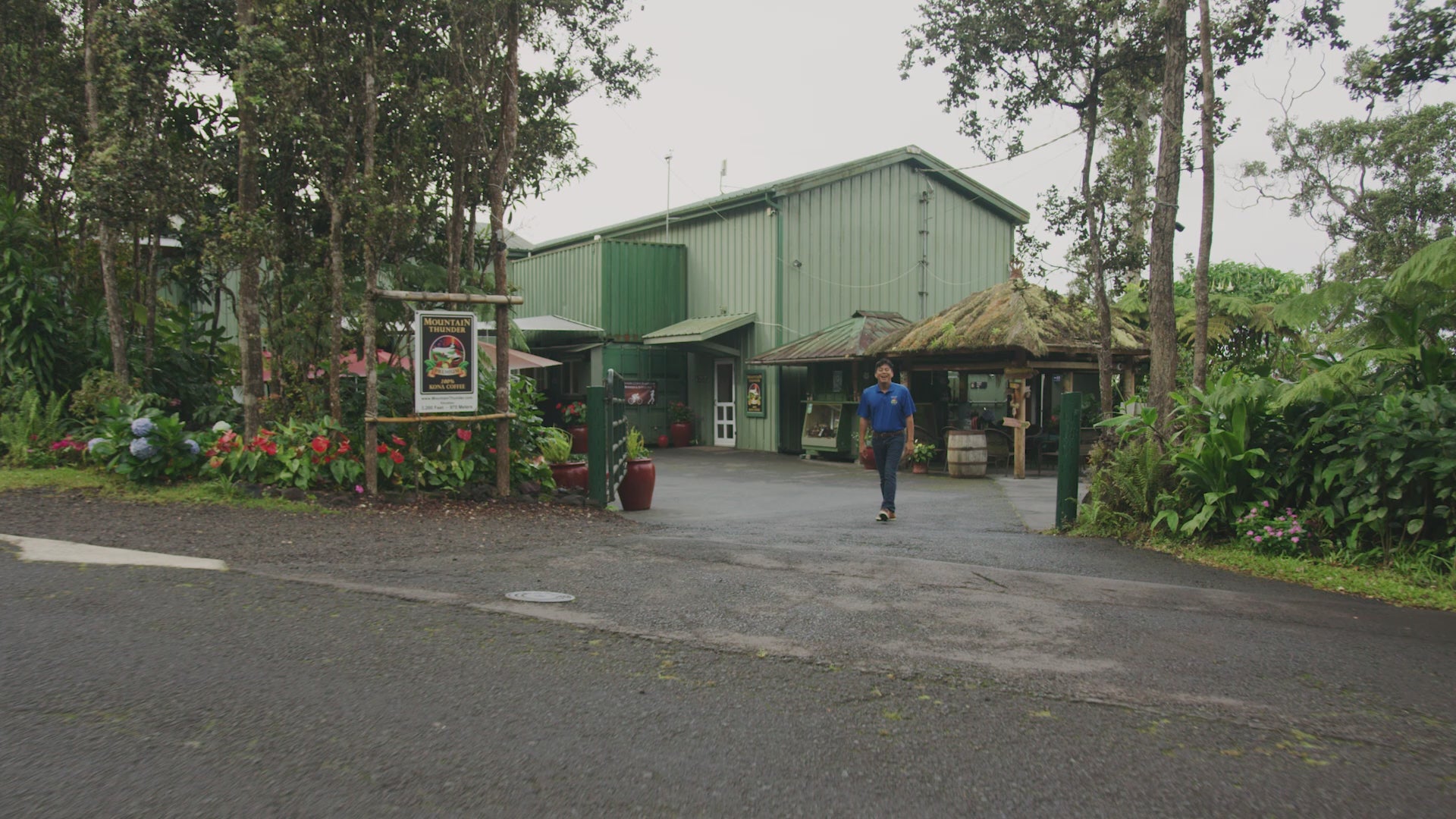 Load video: Take a 6 minute tour of Mountain Thunder Coffee Plantation