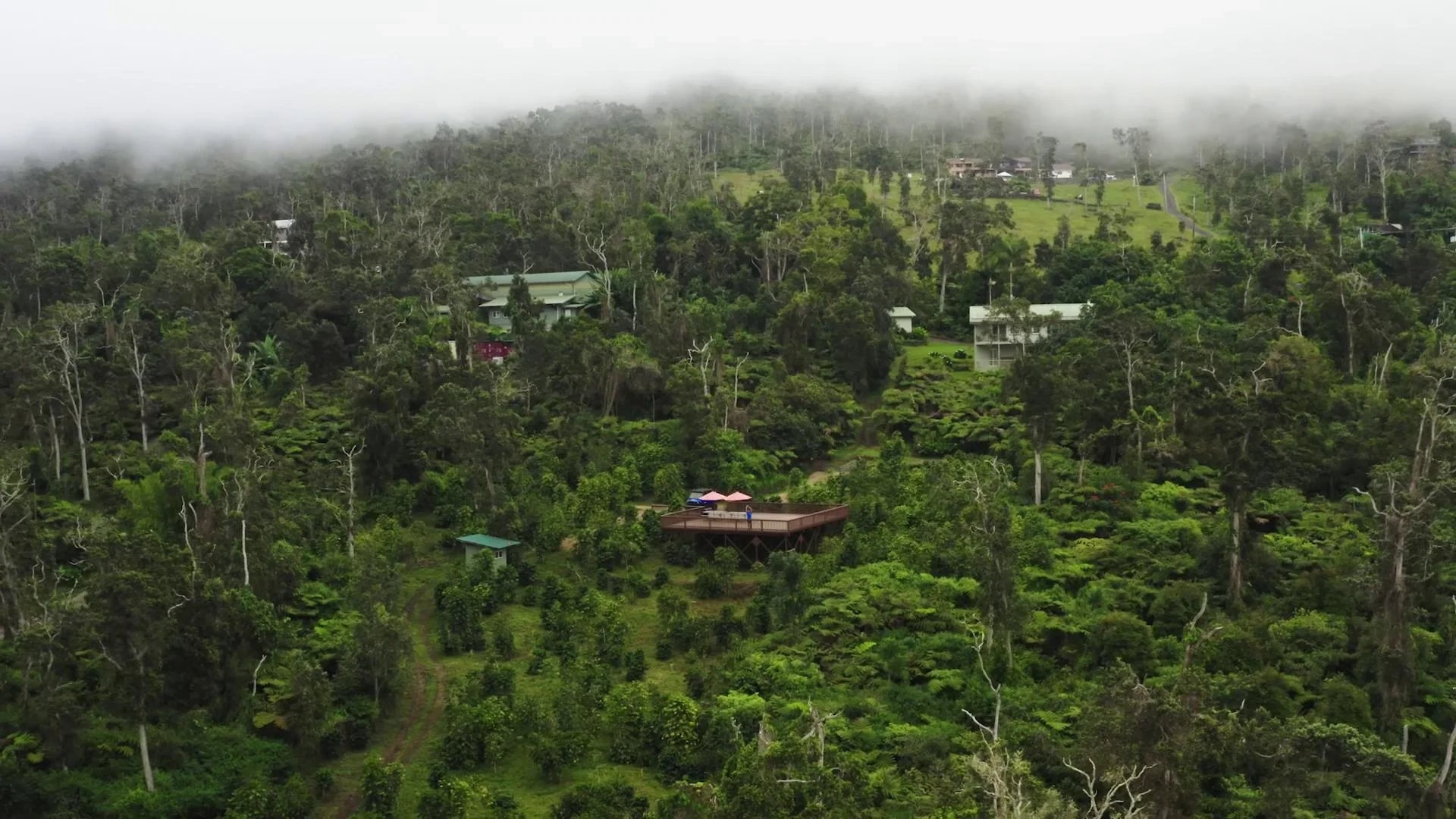Aerial view of a forested area with buildings partially obscured by mist.